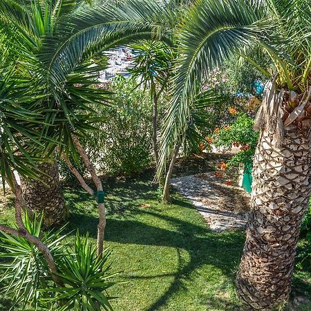 Olive Grove Apts Lithakia  Exteriér fotografie