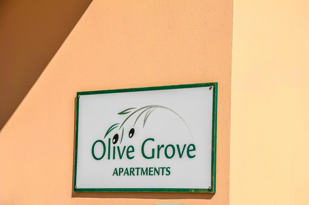 Olive Grove Apts Lithakia  Exteriér fotografie